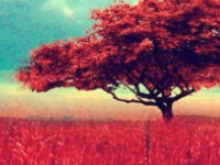 �����䰮������ɼ���½��������С˵ȫ���½������Ķ���ַ