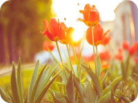 �����Ĺ˱����ػ�������δɾ��ȫ����Դ�����Ķ���ַ