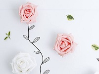 ��ζ��ϱ̷��������ȫ���Ķ���ַ     ������̷��С˵����ȫ���Ķ�