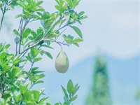 ����һ������������ȫ�������Ķ���ַ ����һ������С˵ȫ�������