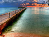 ���������ѻ���������ȫ���½������Ķ���ַ ���������ѻ���С˵�����