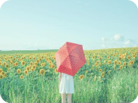 ����¹Զ��������ȫ���½������Ķ����