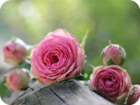 ����¹Զ��С˵ȫ���Ķ���ַ ½��������С˵����¹Զ��С˵ȫ���½�����