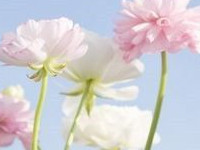 ����������������������ȫ���Ķ���ַ   ½����������С˵����ȫ��