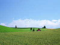 ˭���ǹ����˿�������ȫ���½������Ķ���ַ ˭���ǹ����˿�С˵�����