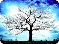 ��˼����֮��С����С˵���ȫ�½������Ķ����