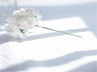 ����������ȫ�������½������Ķ���ַ  ����������С˵ȫ�������