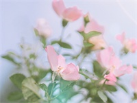 ����������������ȫ�������Ķ���ַ  ����������С˵ȫ�������