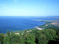 �������·������ȫ�½������Ķ���ַ