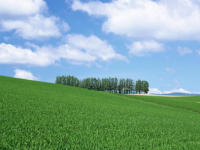 ����������ȫ���½������Ķ���ַ ����С˵�����