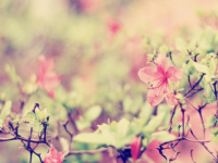 ���������ĺ��������ȫ����Դ�����Ķ���ַ