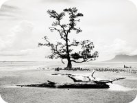 ���¥�����ȫ�������       ������ɺ쳾����ȫ�������Ķ����