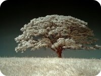 ˼��С˵ȫ�������   ��˼Զ����С˵����ȫ���½��Ķ����