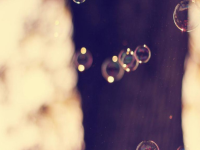 ���ǵİ������˻�ȫ��δɾ�ڰ������Ķ���ַ