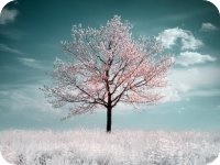 Ҷ��С˵ȫ�������  �ԹԴ����Ұ������½������Ķ����