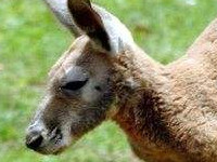 ΩԸ����������ȫ���ѳ� ΩԸ����������VIP�½�δɾ���Ķ���ַ