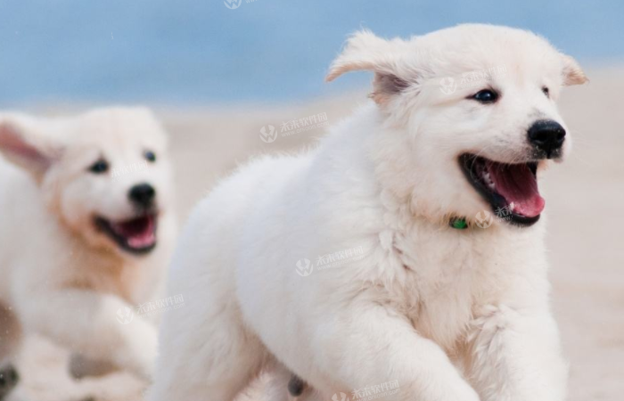 ˼�Ϲ�˼Զ����С˵ȫ������δɾ�������Ķ���ַ