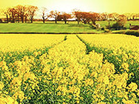 ½��������С˵���ǵİ������˻�ȫ���½������Ķ����