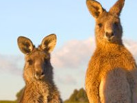 ΩԸ���������������½������� ΩԸ���������������½��Ķ���ַ