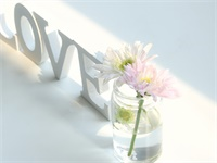 �ڿν������������ȫ����ɾ�����߹ۿ���ַ