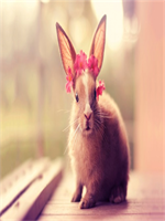 ����˵���ҵ�ʱ��������ȫ�½������Ķ���ַ ����˵���ҵ�ʱ��С˵ȫ�½������