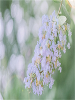 ����˵���ҵ�ʱ��������ȫ�������Ķ���ַ ����˵���ҵ�ʱ��С˵ȫ�������