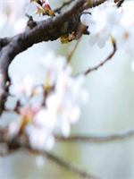 ˽���������С˵�����ȫ�½������Ķ���ַ