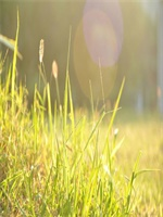 �������������������ȫ�������Ķ���ַ  �������������С˵ȫ�������