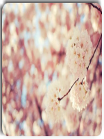 ��ˮ������������ѳ� ����С˵��ˮȫ������½��Ķ���ַ