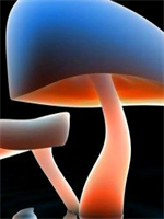 ���ո�����С˵����� �ܲõ����޻���ȫ������½��Ķ���ַ