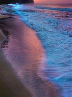 ������������ȫ��������ɾ�������������Ķ����