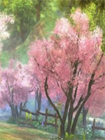 �����滵��ǰ��͵�������������ȫ����Դ�����Ķ����