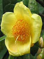 Ů����������������С˵ȫ���½������Ķ���� ��������С˵ȫ�������