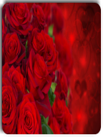 ��������ӨС˵����� �ҵİ�����Ư��ȫ������½��Ķ���ַ