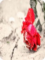 һ������һ����С˵ȫ����Դ�Ķ���ַ ���ǽ���Ϫ����ɪС˵ȫ�������Դ���߷���