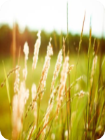 ��Ľ��Ľ��ϪС˵ȫ���Ķ���ַ ��Ľ��Ľ��ϪС˵ȫ�������