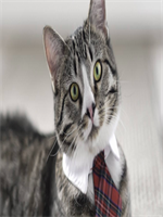 ���������Щ��С˵������ȫ�� ���������Щ��С˵ȫ��δɾ���½������Ķ���ַ