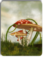 �����������С˵�����ȫ�½������Ķ���ַ