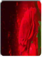 �������������������Դ��������С��С˵ȫ����Դ�����Ķ����