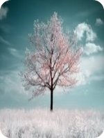 ������ݰ׽���С˵ȫ�������   �������������������Ķ����