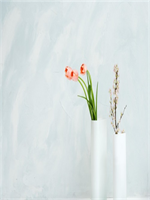 ��������������ȫ�½������Ķ���ַ  ��������С˵ȫ�½������