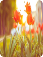 ������������˫�۵�12��13������ȫ�������Ķ����