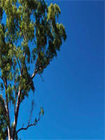 ɵ�ӵ��������������ַ�С˵�����½�����Ķ�