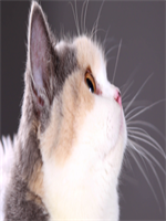 �Һ��ҵ��ĸ�������˸����С˵������68����������Ķ�