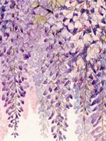 �������ַ�С˵ɵ�ӵ������ε�19��ȫ������Ķ�