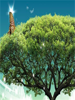 �����������������ַ�С˵ȫ�������½�����Ķ�28��