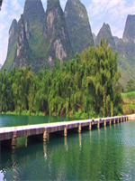 ɵ�������������ַ�С˵��������Ķ�54�º�55��