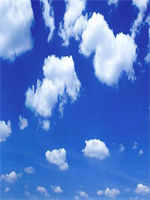 ������ǿ�������С˵96�������½�����Ķ�