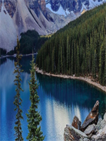 �����Ắ��������»��7����������Ķ���������»��С˵ȫ�������