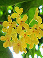 ���Ĺ���������С˵����ִ��Ľ˹��1��ȫ������Ķ�